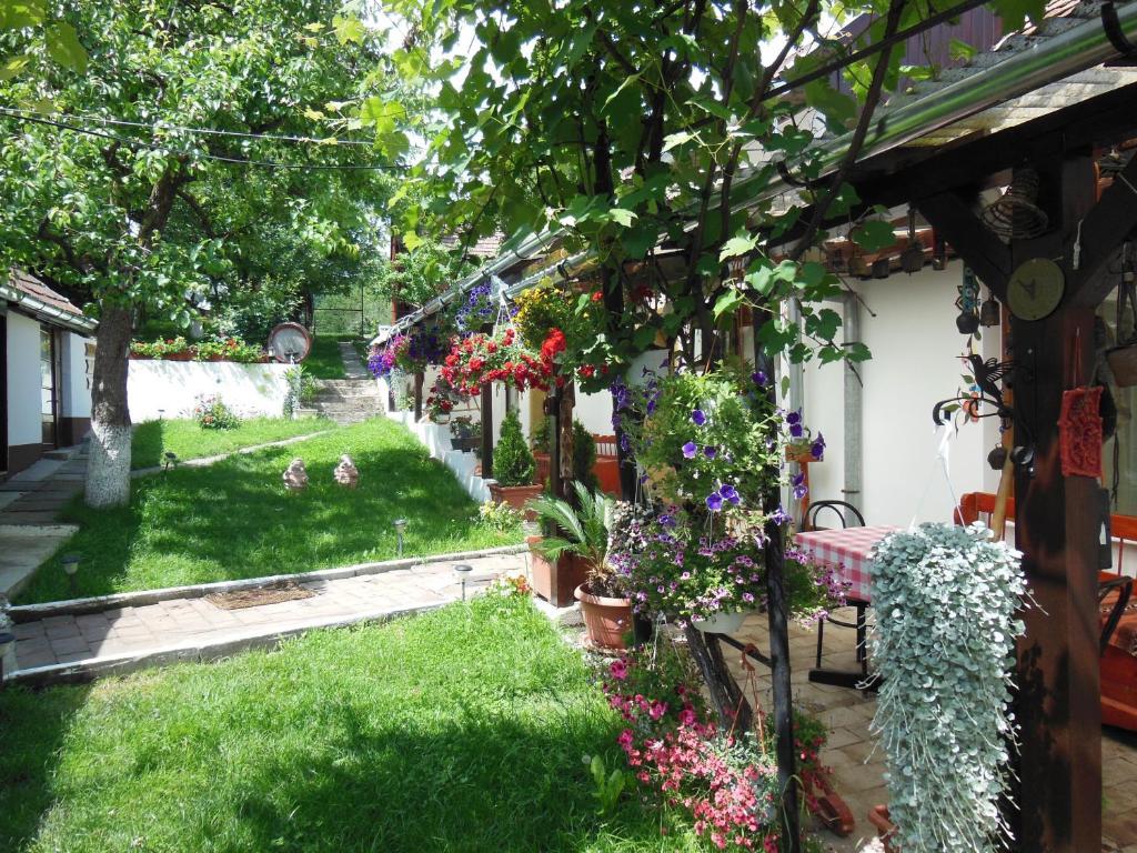 Maison d'hôtes Bassen Bazna